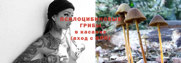 apvp Баксан